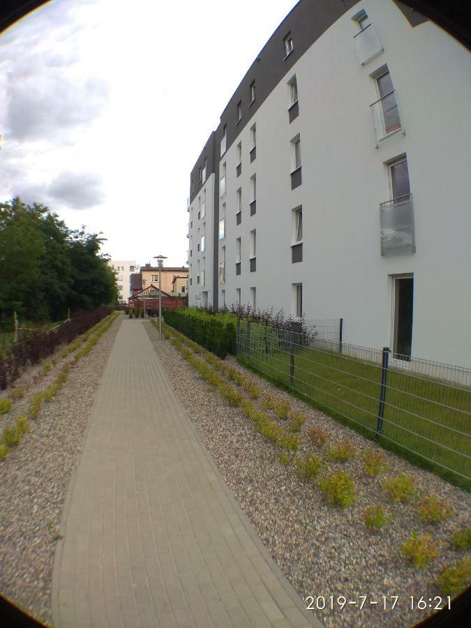 1120 Smialego 41 - Tanie Pokoje W Apartamencie - Samodzielne Zameldowanie - Self Check In Πόζναν Εξωτερικό φωτογραφία